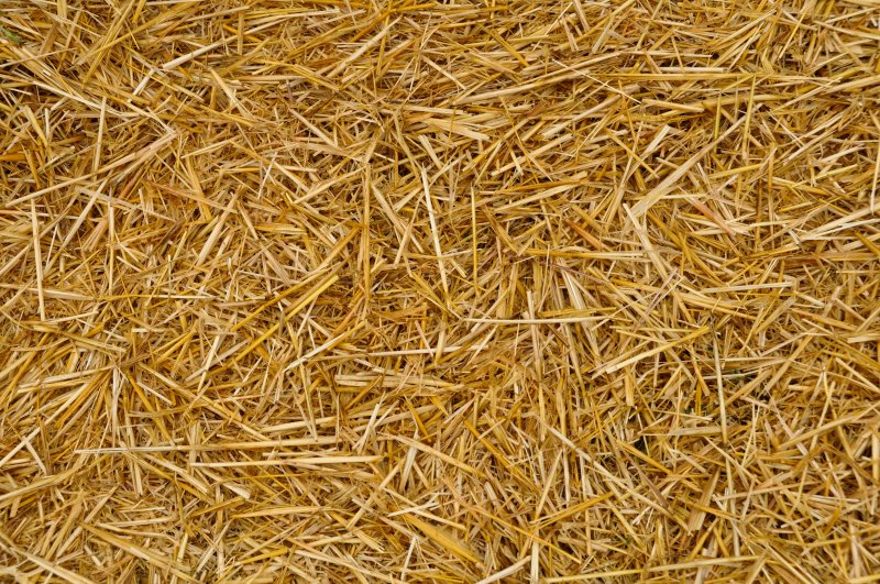 BATA Conventional Straw Bale