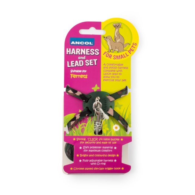 Ancol Ancol Ferret Harness & Lead Set