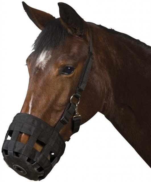 Weatherbeeta Roma Nylon Grazing Muzzle