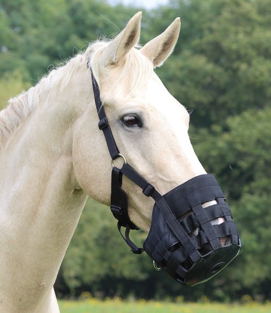 Shires Equestrian  Shires Comfort Grazing Muzzle