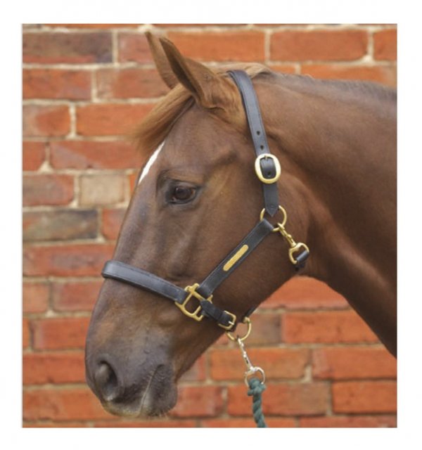 Hyland Leather Head Collar