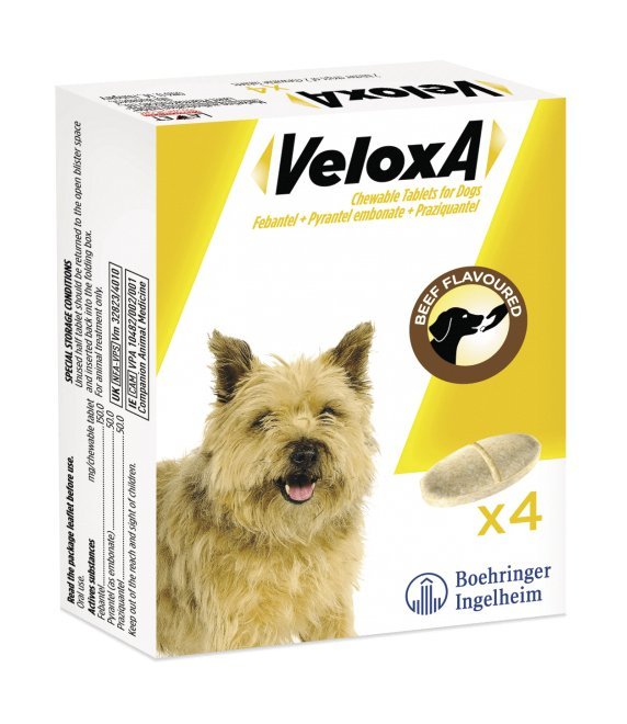 Boehringer Ingelheim Veloxa Dog - 4 Tablets - Short Dated