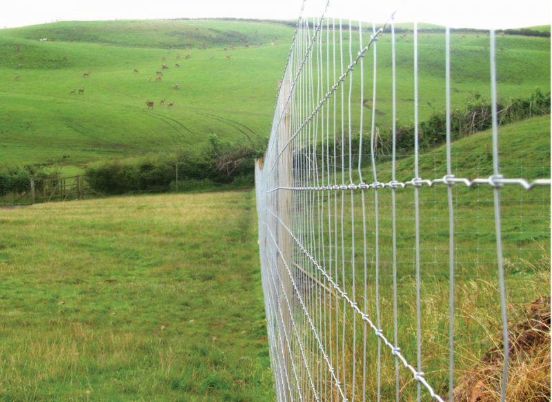 Hampton Steel Hampton HT13/190/15 Deer Net - 100m