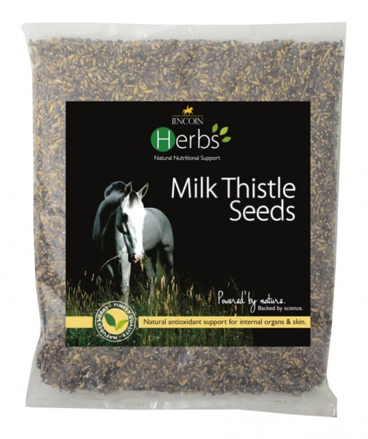 Lincoln Lincoln Herbs Milk Thistle Seeds - 1kg