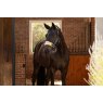 LeMieux LeMieux Vogue Headcollar