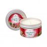Premier Decorations Premier Scentsicles Candle - 170g