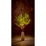 Premier Set Of 3 Lit Fir Twigs - 90cm