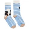 Joules Joules Single Socks Everyday - 4-7
