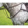 Shires Salisbury Five Point Breastplate