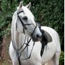 Gallop Gallop Breast Plate Martingale