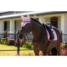 LeMieux LeMieux Essence Fly Hood