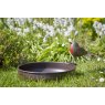 Tom Chambers Ground Bird Bath