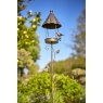 Tom Chambers Robin Bird House