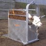 Ritchie Ritchie Calf De Horning Crate