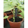 Garland Garland Plant Labels 10cm 25pk