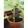 Garland Garland Plant Labels 13cm 25pk