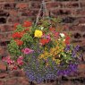 Garland Hang Basket Chain