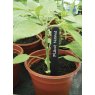 Garland Garland Plant Labels 13cm 50pk