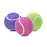 Ancol Ancol Assorted Tennis Balls - 6pk