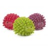 Ancol Hedgehog Dog Toy