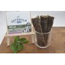 Cotswolds Raw Pure Wild Boar Sticks - 75g
