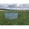 Ritchie Hexagonal Feed Ring Cattle H/d Ritchie