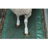 JFC Foam Footbath For Sheep
