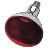 Infra Red Bulb Ruby - 250w