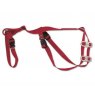 Prolapse Harness (red)