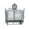 IAE IAE Lamb Weigh Crate - Mechanical