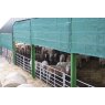 Ark Agriculture Secure Windbreaks