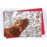 Kitchy & Co Kitchy & Co Christmas Card - 5pk