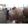 Kerbl Kerbl Scratch Brush Cattle, Calves, Horse & Goat