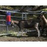 Kerbl Kerbl Scratch Brush Cattle, Calves, Horse & Goat