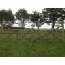Estate Gate 5 Spell 4' Estate Gate 5 Spell 4'