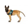 Julius-K9 Julius K9 Idc Dog Powerharness