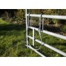 Calf Bucket Holder 1.25 Gal Drop Down Calf Bucket Holder 1.25 Gal Drop Down