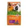Burgess Excel Guinea Pig With Nugget B/c & Oregano - 2kg