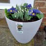 Stewart Garden Stewart Beton Tall Planter - 38cm