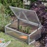 Smart Garden Products SG Cold Frame