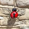 Smart Garden Products SG Decor Ladybird