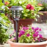 Smart Garden Products SG Avant Stake Light - 5pk