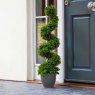 Smart Garden Products SG Topiary Twirl