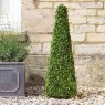 Smart Garden Products SG Boxwood Obelisk - 90cm