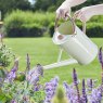 Smart Garden Products SG Watering Can