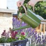 Smart Garden Products SG Watering Can