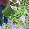 Smart Garden Products SG Watering Can - 9l