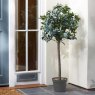 Smart Garden Products SG Topiary Tree