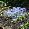 Smart Garden Products SG Clear Cloche