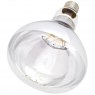 Infra Red Bulb Frosted Ir250des - 250w Infra Red Bulb Frosted Ir250des - 250w